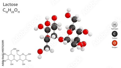 Molecule: Lactose. Disaccharide. Milk sugar. Molecular structure. Formula: C12H22O11. Chemical model: Ball and stick. White background. 3D illustration. photo