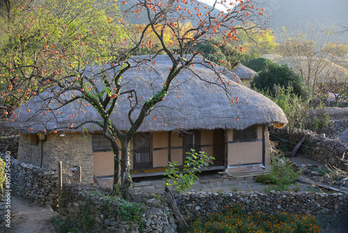 фотографія Autumn scenery of Nakanupseong Folk Village in Suncheon, South Jeolla Province,
