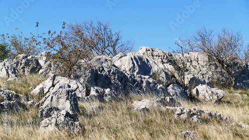landscape in the mountains