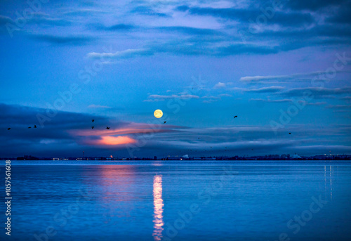 Full moon setting over a tranquil lake with the moonbeam reflected on the water's surface and silhouetted birds fly across the cloud-filled sky; White Rock, British Columbia, Canada photo