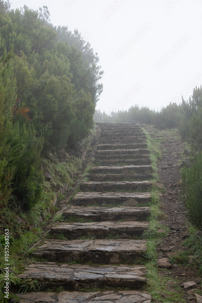 Steps in the fog leading up to Pico Ruivo, the highest peak on Madeira island, Portugal; Ilha, Madeira, Portugal Steps in the fog leading up to Pico Ruivo, the highest peak on Madeira island, Portugal; Ilha, Madeira, Portugal