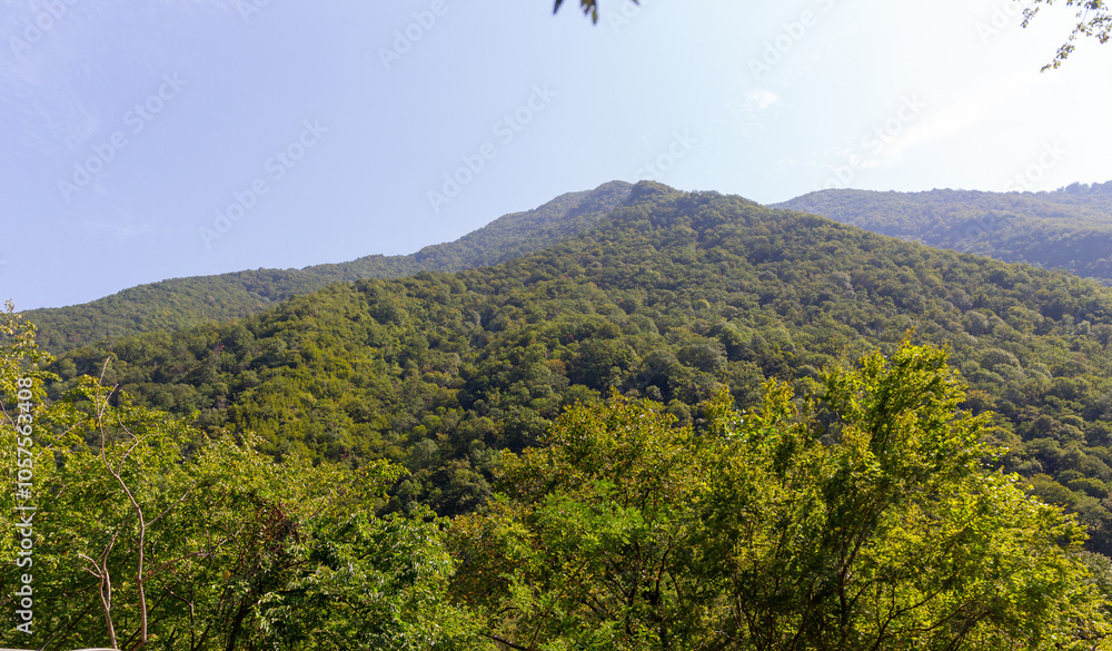 Obraz premium landscape in the mountains