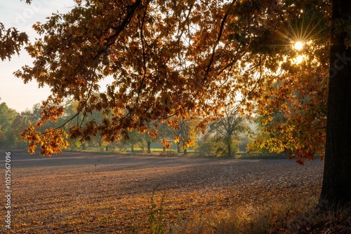 Autumn Indian Summer L'été indien 