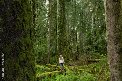 Woman exploring the majestic trees and nature in Cathedral Grove on Vancouver Island, B.C., Canada photo