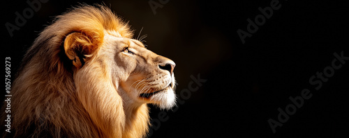 Majestic lion side profile in sunlight showcasing natural beauty and strength, wild animal photography concept