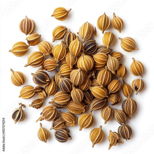 Coriander Seeds Isolated