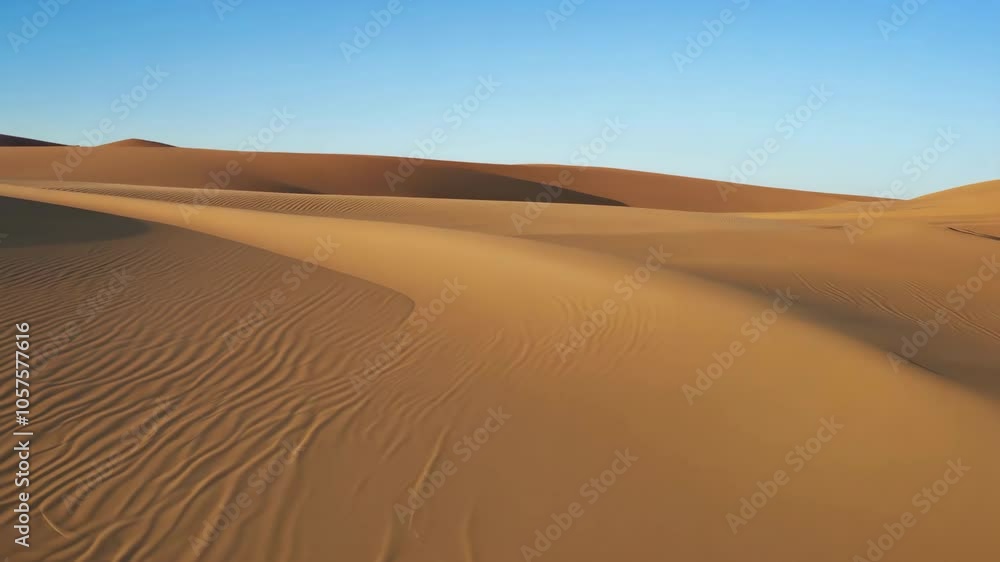 Vast golden sand dunes stretch across horizon. Warm hues. Curves and ripples texture landscape. Nature and travel adventure. Beauty of gold yellow desert environments. Drone aerial view background. Vast golden sand dunes stretch across horizon. Warm hues. Curves and ripples texture landscape. Nature and travel adventure. Beauty of gold yellow desert environments. Drone aerial view background.