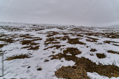 Snow patches melting on dry grass under a cloudy sky