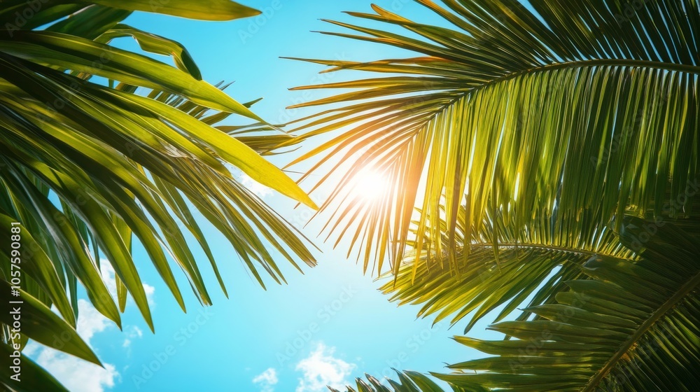 Fototapeta premium Radiant sunlight through tropical palm leaves, bright blue sky background
