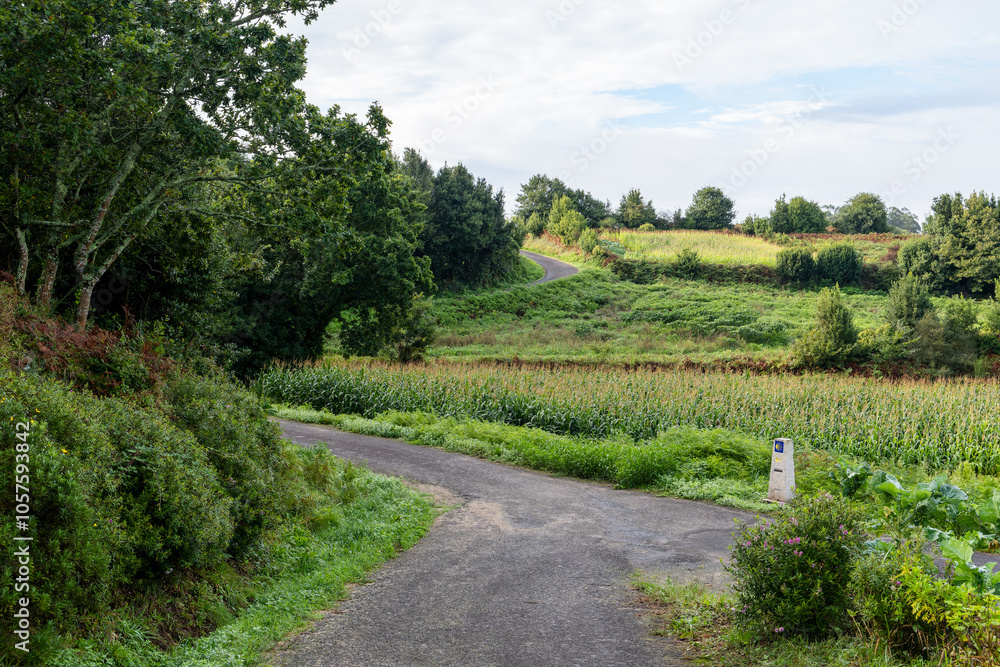 road in the countryside with a camino compostelle stone road in the countryside with a camino compostelle stone