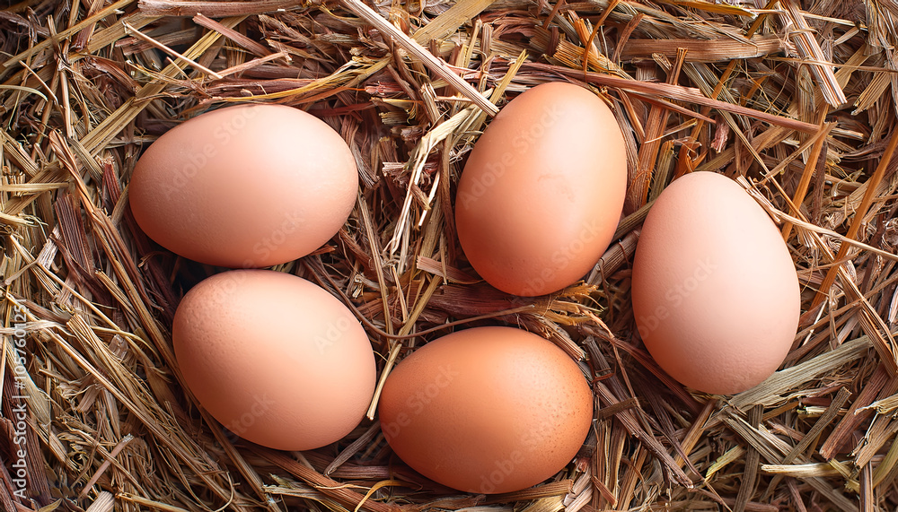 Close-up of five fresh farm eggs resting on a bed of hay, symbolizing natural farming, freshness, and organic produce Close-up of five fresh farm eggs resting on a bed of hay, symbolizing natural farming, freshness, and organic produce