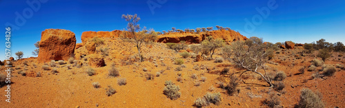 Panorama of red laterite rocks and desert vegetation with mulga and saltbush in the dry outback of the Mount Magnet area, Western Australia
 photo