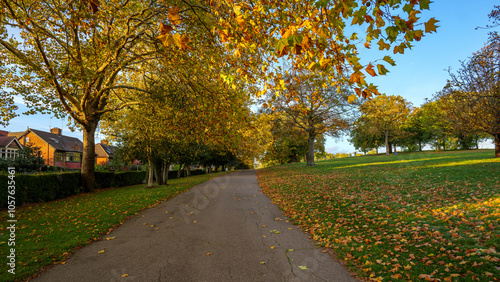 Bild auf Leinwand London - 10 15 2022: Tree-lined avenue in Roundwood Park near houses