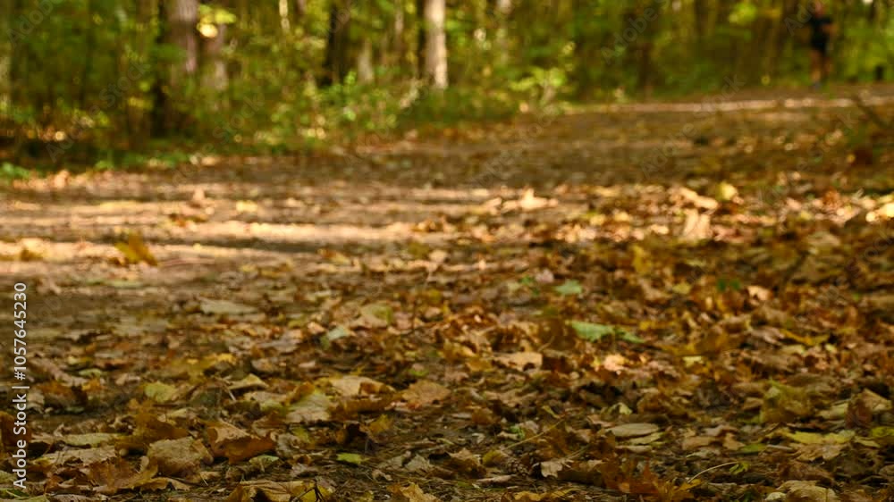 Man running in autumn forest. Out of focus. Outdoor sports. Man running in autumn forest. Out of focus. Outdoor sports.
