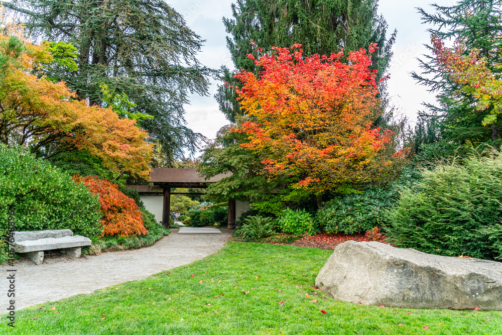 Fototapeta premium Kubota Autumn Entrance 5
