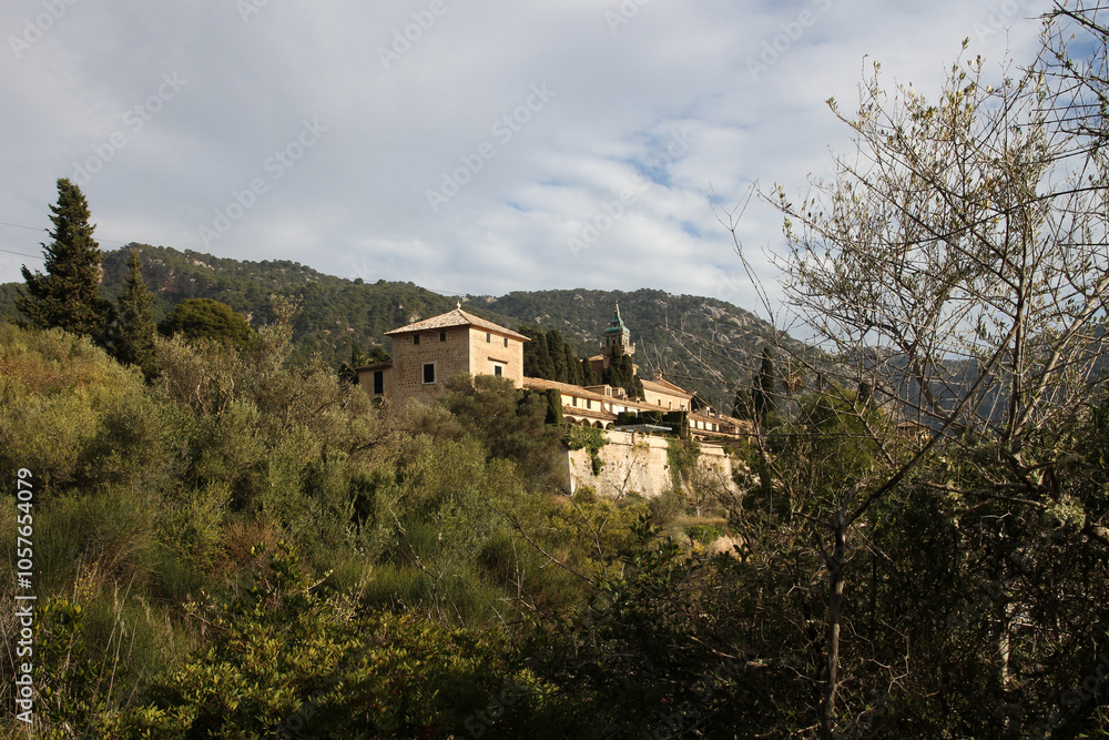 Iglesia de la Cartuja, church in valldemossa, mallorca, different view with green trees
