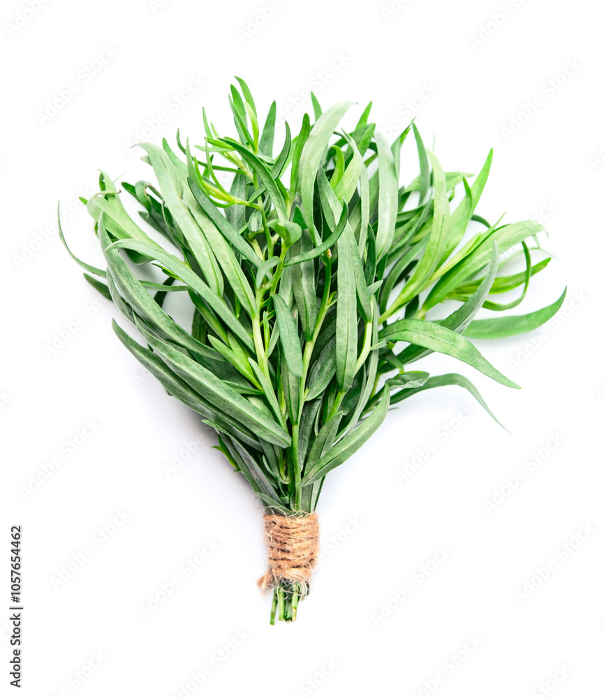 Obraz premium Tarragon grass on white backgrounds