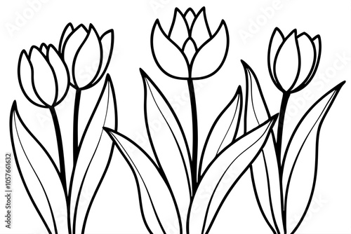 Tulips on the vase vector silhouette on white background