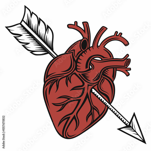 A vintage-style illustration of a human heart pierced by an arrow, symbolizing love, passion, and the power of emotions. Perfect for romantic designs, Valentine's Day projects.