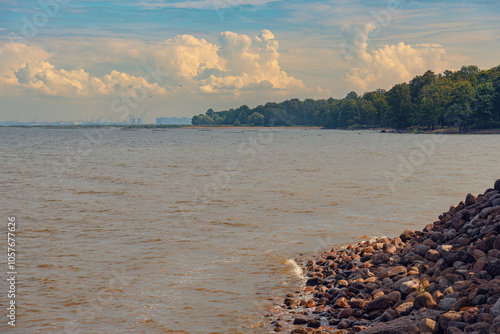 The seashore is covered with rocks, with trees growing in the distance. photo