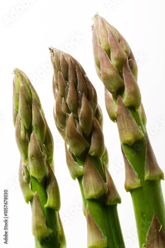 Asperges vertes photo