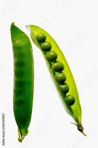 Petit pois