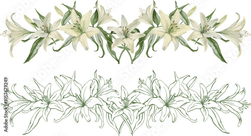 Horizontal composition of white lily flowers and leaves. Vector hand drawn lines and flowers, border for wedding decor, greeting cards and prints.