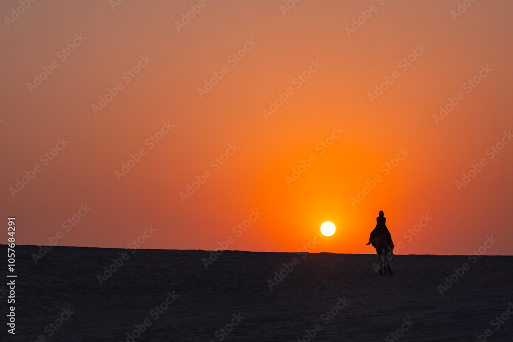 Qatar Desert Camel Caravan in the Sunset Time Photo, Doha Qatar Qatar Desert Camel Caravan in the Sunset Time Photo, Doha Qatar