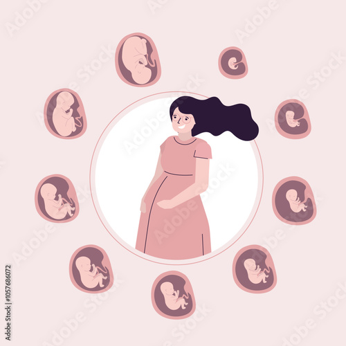 Maternity, happy pregnant woman portrait. Embryo in womb, set of icons. Fetal development and growth during pregnancy. Monthly stage, medical infographic. Baby awaiting.