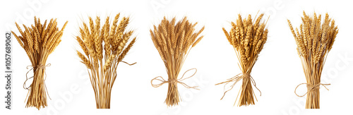 Bundle of ripe wheat ears tied together isolated on white or transparent background PNG