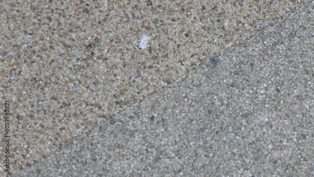 A background video of a textured granular surface. A background video of a textured granular surface.