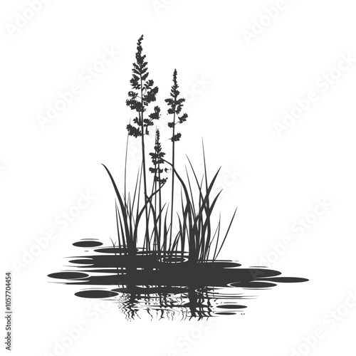 Silhouette of Tall Grass and Its Reflection in Water