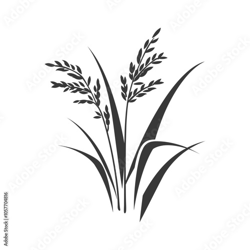 Silhouette of Rice Plants with Grains