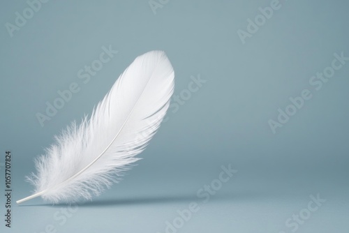 A delicate white feather resting on a soft blue background.