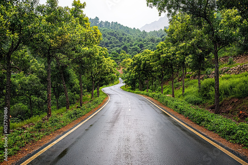 Road with trees on both sides and a few cars on it. The road is wet and the trees are green