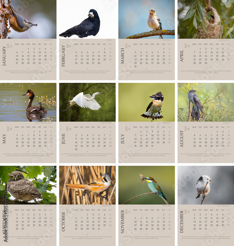 Canvas Print Calendar_2025_ENG