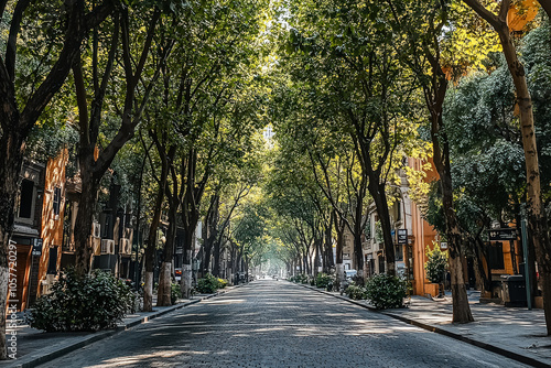 Street with a row of trees and cars parked on the side. The street is empty and the trees are green