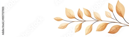 Dried leaf branch with warm tones, white isolated background.