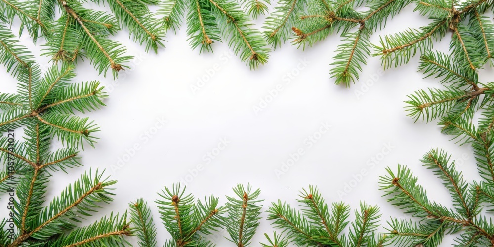 Pine Sprig Frame on White Background - Minimalist Holiday Composition Pine Sprig Frame on White Background - Minimalist Holiday Composition