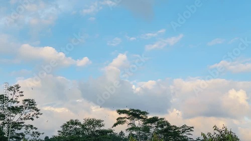 The view of birds flying in the evening, with a very bright blue sky in the evening covered by clouds, is a beautiful sight.