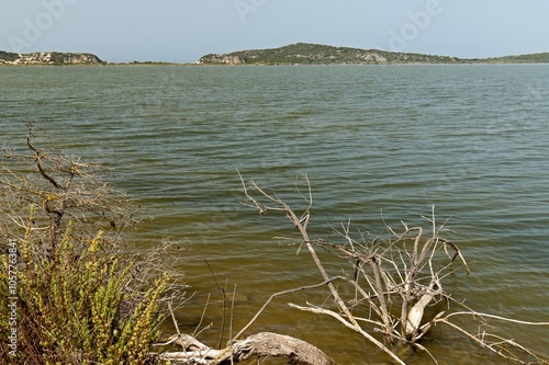 A view of Gialova Lagoon with its brackish water, located near the city of Pylos. Messinia, Peloponnese. Greece.