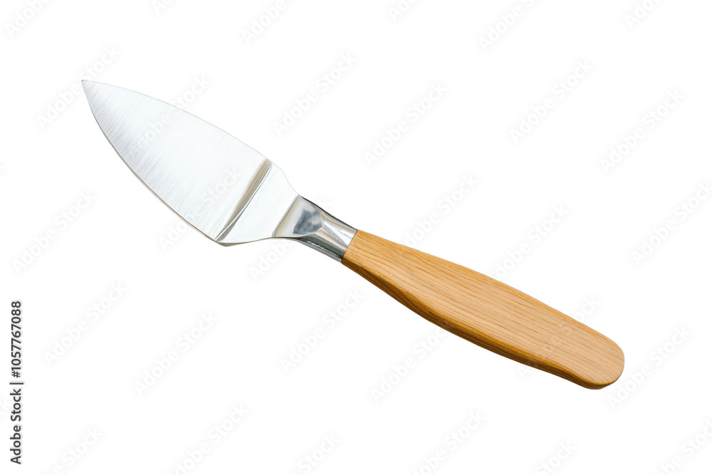 Fototapeta premium Stainless Steel Cake Server with Wooden Handle