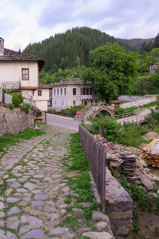 Street with typical buildings, in Shiroka Laka