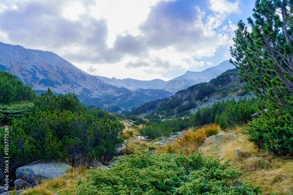 Mountain landscape in Pirin National Park