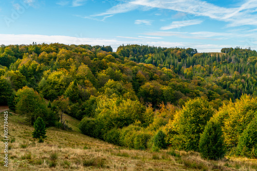 Fototapeta Naklejka Na Ścianę i Meble -  Autumn in Beskidy Mountains