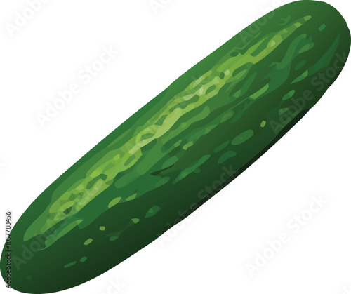 cucumber isolated on white background
