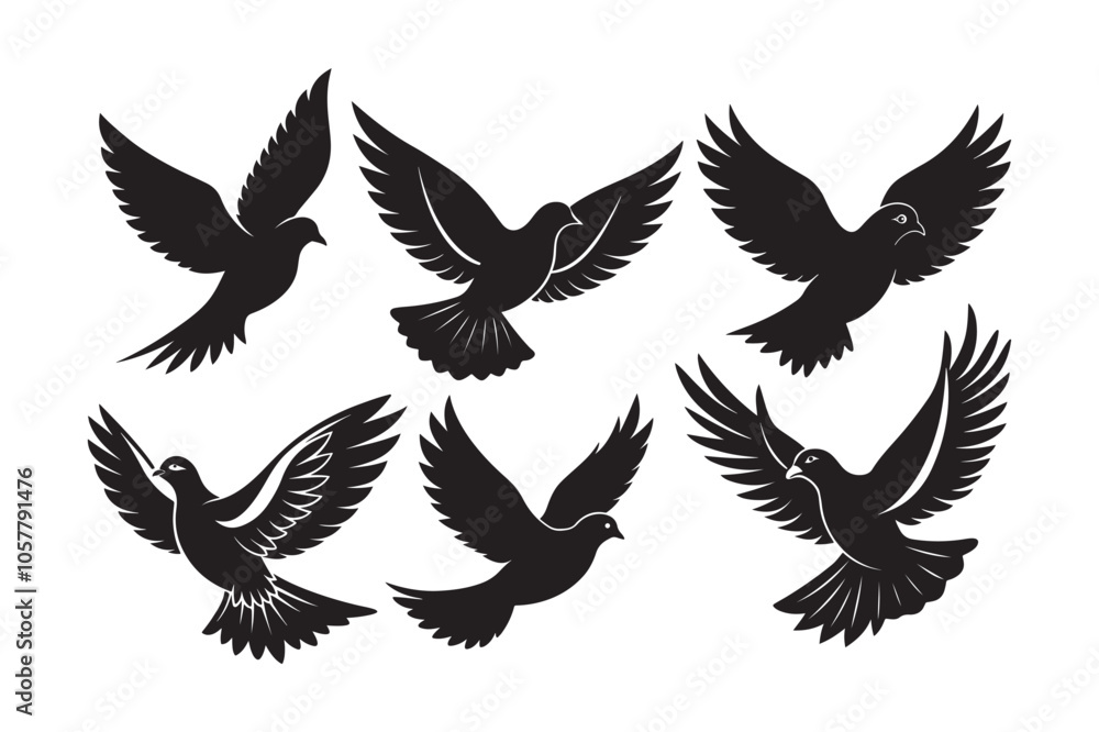 Mourning Dove Silhouette vector bundle, Mourning Dove Silhouette, Mourning Dove Silhouette Bundle Mourning Dove Silhouette vector bundle, Mourning Dove Silhouette, Mourning Dove Silhouette Bundle