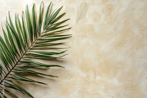 A single palm leaf casting intricate shadows on a textured beige background i...
