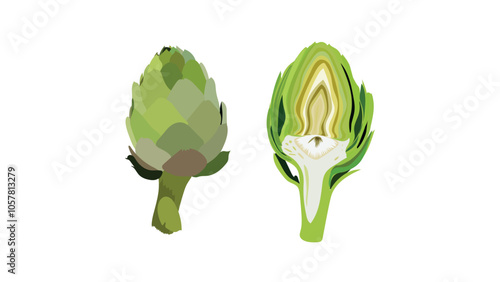 Green artichoke and artichoke heart. Whole and cutted half of artichoke heart, center of vegetable. Globe Artichoke green flower heads. Fresh natural vegetable . 