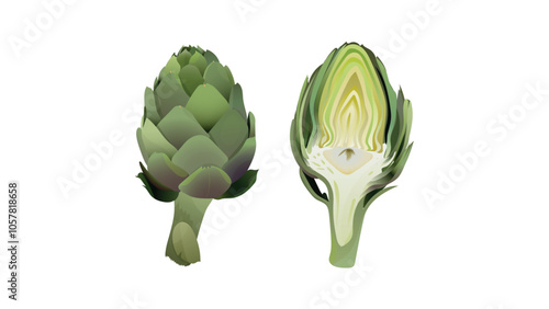 Green artichoke and artichoke heart. Whole and cut half of artichoke heart, center of vegetable. Globe Artichoke green flower heads. Fresh natural vegetable . 